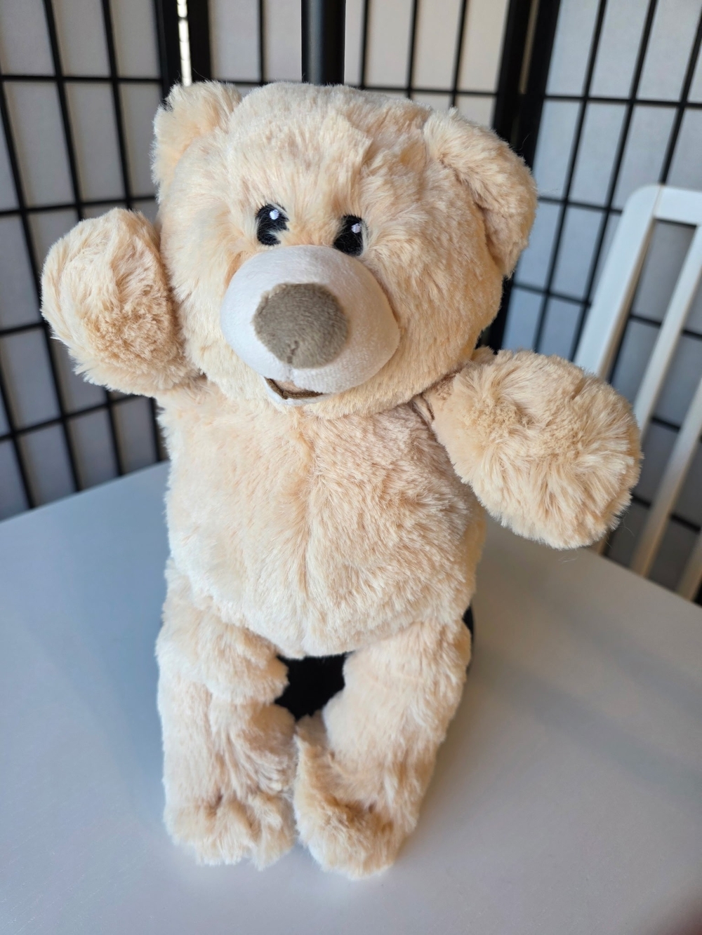 NWOT ~ Plush Cream Teddy Bear Soft Stuffed Animal Toy for Dogs